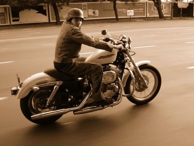 Sportster_moving